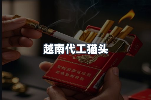 越南代工猫头